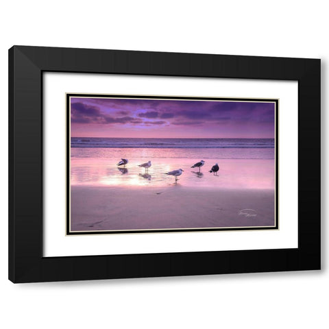 Seagull Beach I Black Modern Wood Framed Art Print with Double Matting by Murdock, Ramona