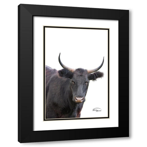 Whatzup Black Modern Wood Framed Art Print with Double Matting by Murdock, Ramona