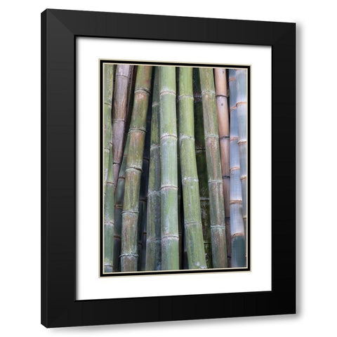 Bamboo Fence Black Modern Wood Framed Art Print with Double Matting by Murdock, Ramona