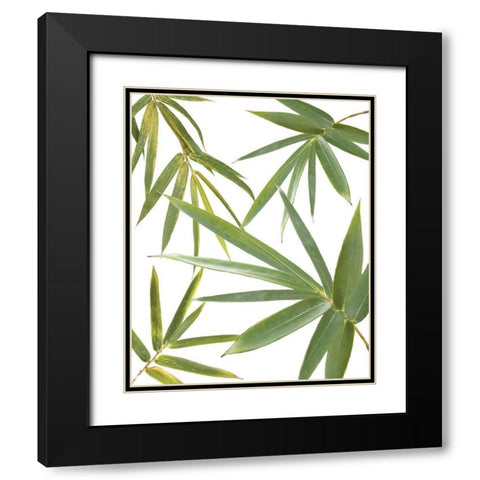 Bamboo Collage Black Modern Wood Framed Art Print with Double Matting by Murdock, Ramona