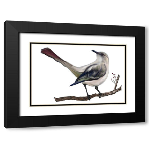 Bird VII Black Modern Wood Framed Art Print with Double Matting by Murdock, Ramona