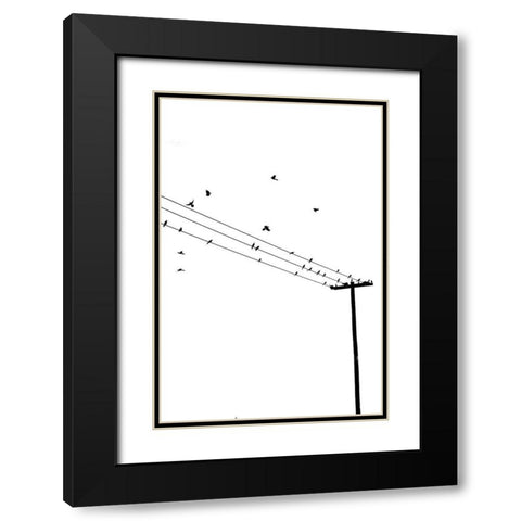 Birds on a Wire Black Modern Wood Framed Art Print with Double Matting by Murdock, Ramona