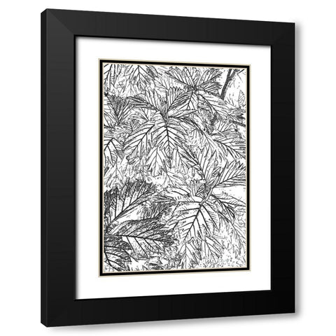 Botanical BW I Black Modern Wood Framed Art Print with Double Matting by Murdock, Ramona