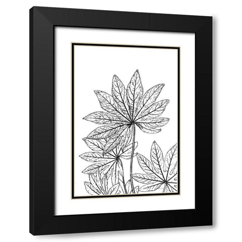 Botanical BW III Black Modern Wood Framed Art Print with Double Matting by Murdock, Ramona