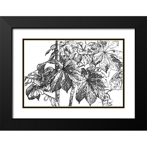 Botanical BW IV Black Modern Wood Framed Art Print with Double Matting by Murdock, Ramona