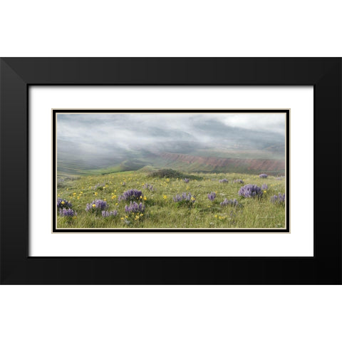Misty Valley I Black Modern Wood Framed Art Print with Double Matting by Murdock, Ramona
