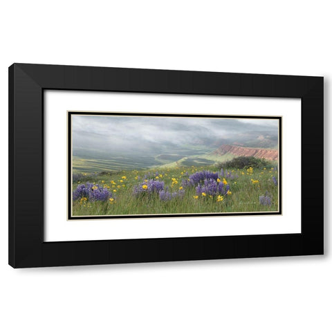 Misty Valley II Black Modern Wood Framed Art Print with Double Matting by Murdock, Ramona