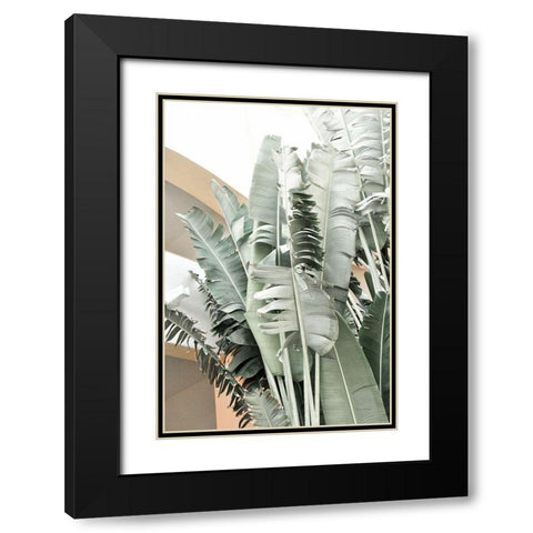 Banana Branch III Black Modern Wood Framed Art Print with Double Matting by Murdock, Ramona