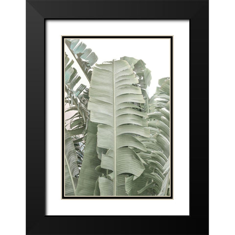 Banana Branch V Black Modern Wood Framed Art Print with Double Matting by Murdock, Ramona