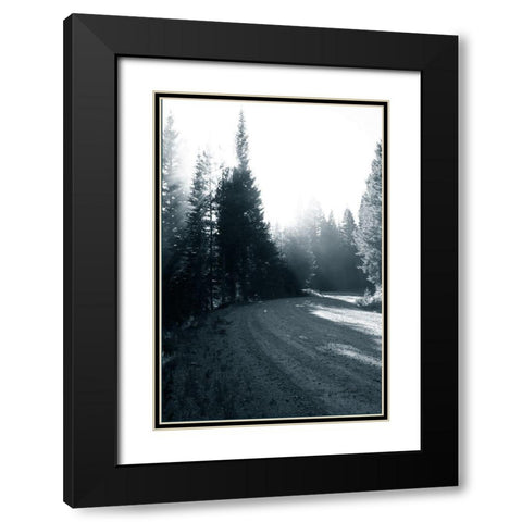 Light in the Forest II Black Modern Wood Framed Art Print with Double Matting by Murdock, Ramona