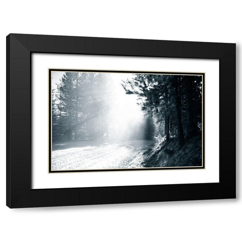 Light in the Forest III Black Modern Wood Framed Art Print with Double Matting by Murdock, Ramona