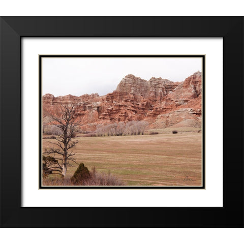 Wyoming Wilderness No. 10 Black Modern Wood Framed Art Print with Double Matting by Murdock, Ramona