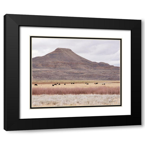 Pasture Land Black Modern Wood Framed Art Print with Double Matting by Murdock, Ramona