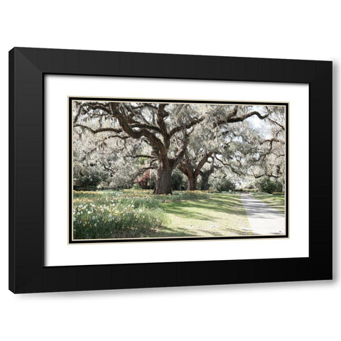 Brookgreen Garden Black Modern Wood Framed Art Print with Double Matting by Murdock, Ramona