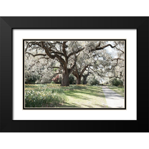 Brookgreen Garden Black Modern Wood Framed Art Print with Double Matting by Murdock, Ramona