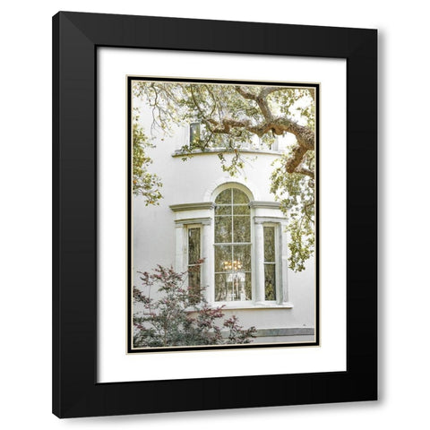 Charleston Garden Windows Black Modern Wood Framed Art Print with Double Matting by Murdock, Ramona