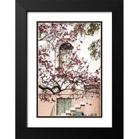 Charleston Spring Blossoms Black Modern Wood Framed Art Print with Double Matting by Murdock, Ramona