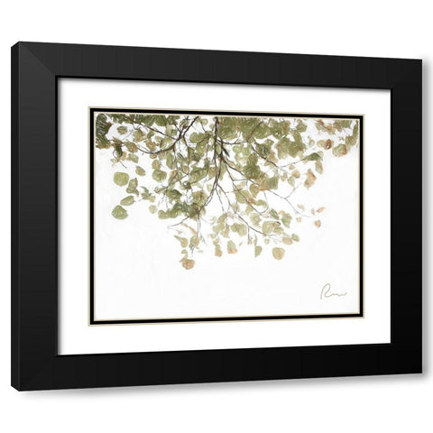 Aspen Leaves Black Modern Wood Framed Art Print with Double Matting by Murdock, Ramona