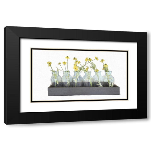 Box of Daisies Black Modern Wood Framed Art Print with Double Matting by Murdock, Ramona