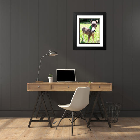 Mini Horse I Black Modern Wood Framed Art Print with Double Matting by Dicks, Stephanie