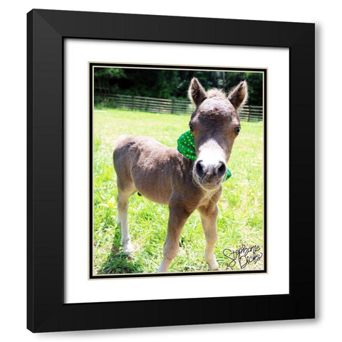 Mini Horse I Black Modern Wood Framed Art Print with Double Matting by Dicks, Stephanie