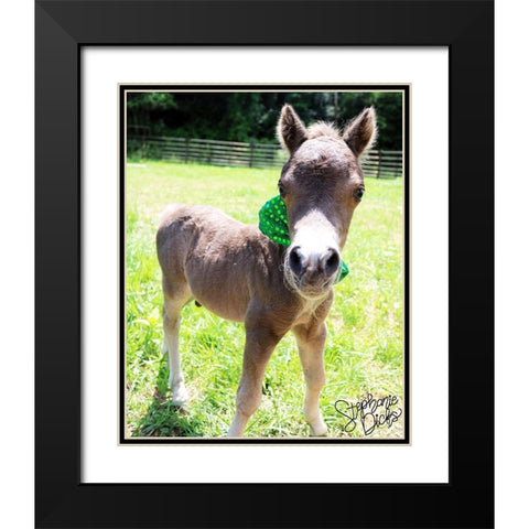 Mini Horse I Black Modern Wood Framed Art Print with Double Matting by Dicks, Stephanie