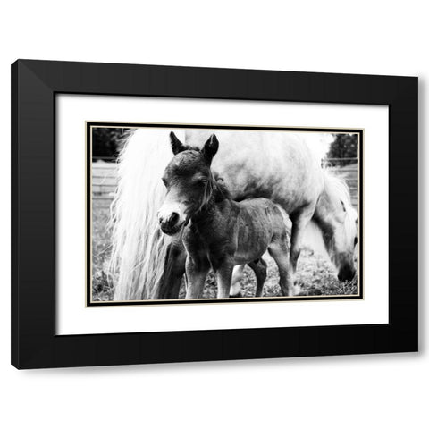 Mini Horse II Black Modern Wood Framed Art Print with Double Matting by Dicks, Stephanie