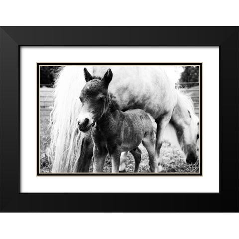 Mini Horse II Black Modern Wood Framed Art Print with Double Matting by Dicks, Stephanie