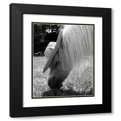 Mini Horse III Black Modern Wood Framed Art Print with Double Matting by Dicks, Stephanie