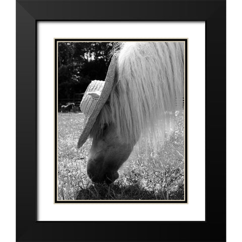 Mini Horse III Black Modern Wood Framed Art Print with Double Matting by Dicks, Stephanie