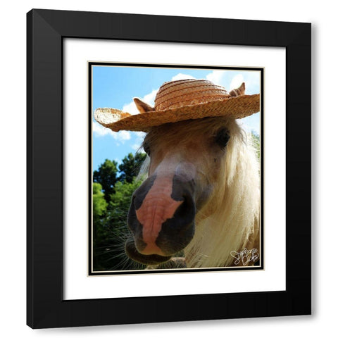 Mini Horse V Black Modern Wood Framed Art Print with Double Matting by Dicks, Stephanie