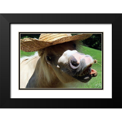 Mini Horse VI Black Modern Wood Framed Art Print with Double Matting by Dicks, Stephanie