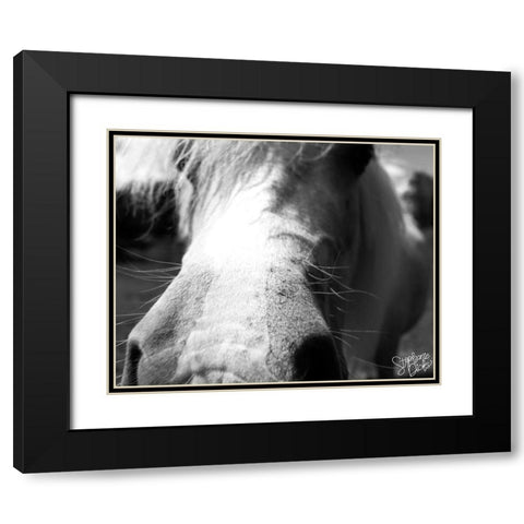 Mini Horse VIII Black Modern Wood Framed Art Print with Double Matting by Dicks, Stephanie