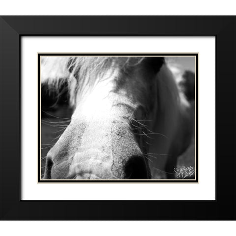 Mini Horse VIII Black Modern Wood Framed Art Print with Double Matting by Dicks, Stephanie
