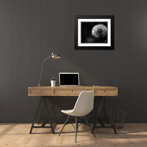 Dandelion Black Modern Wood Framed Art Print with Double Matting by Dicks, Stephanie