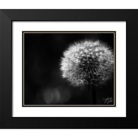 Dandelion Black Modern Wood Framed Art Print with Double Matting by Dicks, Stephanie