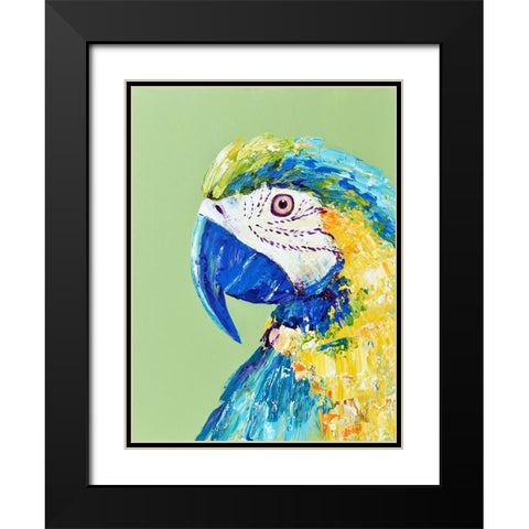 Macaw Parrot Black Modern Wood Framed Art Print with Double Matting by Seeley, Jenn