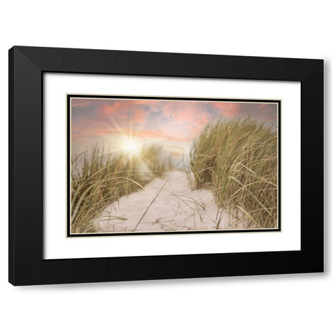 Beach Grass and Sun Black Modern Wood Framed Art Print with Double Matting by Moss, Tara