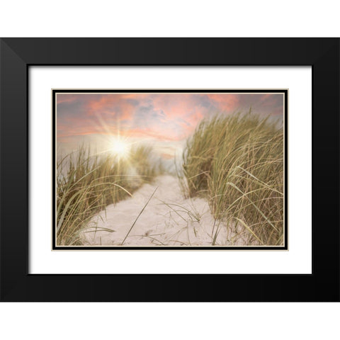 Beach Grass and Sun Black Modern Wood Framed Art Print with Double Matting by Moss, Tara
