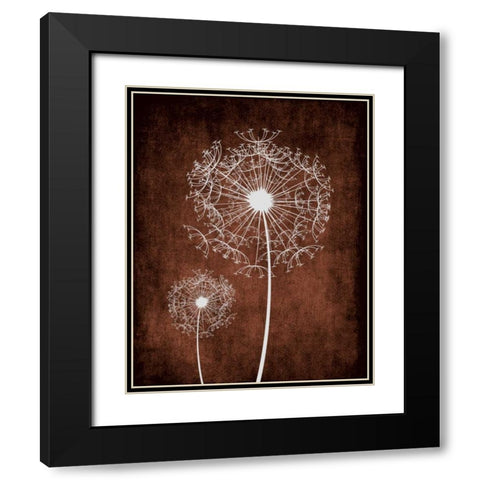 Dandelion on Brown Black Modern Wood Framed Art Print with Double Matting by Robinson, Tamara