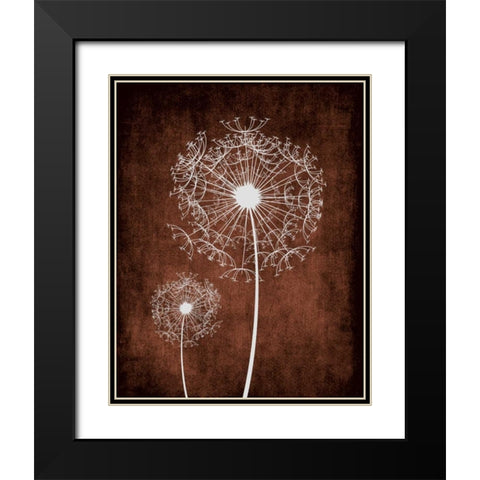 Dandelion on Brown Black Modern Wood Framed Art Print with Double Matting by Robinson, Tamara