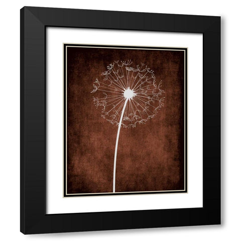 Dandelion on Brown III Black Modern Wood Framed Art Print with Double Matting by Robinson, Tamara