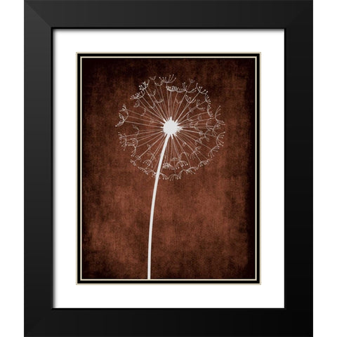 Dandelion on Brown III Black Modern Wood Framed Art Print with Double Matting by Robinson, Tamara