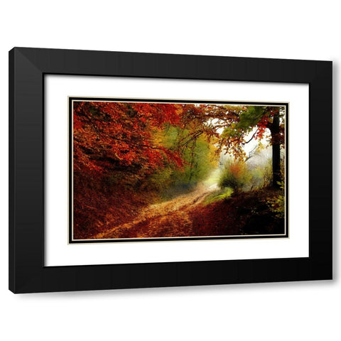 Autumn Forest Edge Black Modern Wood Framed Art Print with Double Matting by Dundon, Denise