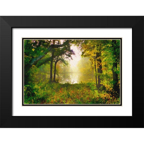 Morning Mist Black Modern Wood Framed Art Print with Double Matting by Dundon, Denise
