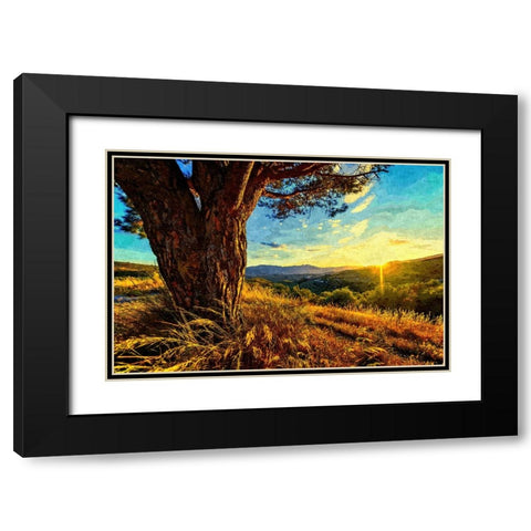 Gnarled Tree at Sunset Black Modern Wood Framed Art Print with Double Matting by Dundon, Denise