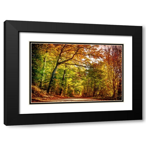 Autumn Pathway Black Modern Wood Framed Art Print with Double Matting by Dundon, Denise