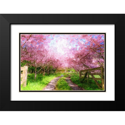 Cherry Blossom Lane Black Modern Wood Framed Art Print with Double Matting by Dundon, Denise