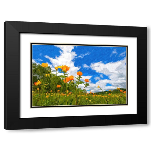 California Poppies Black Modern Wood Framed Art Print with Double Matting by Dundon, Denise