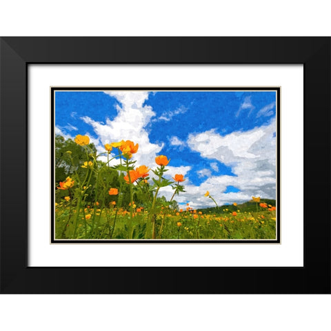 California Poppies Black Modern Wood Framed Art Print with Double Matting by Dundon, Denise